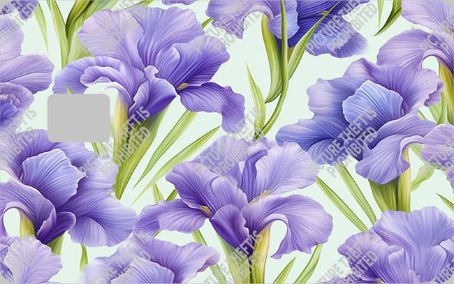 Bank  Card Sticker-BC-2338
